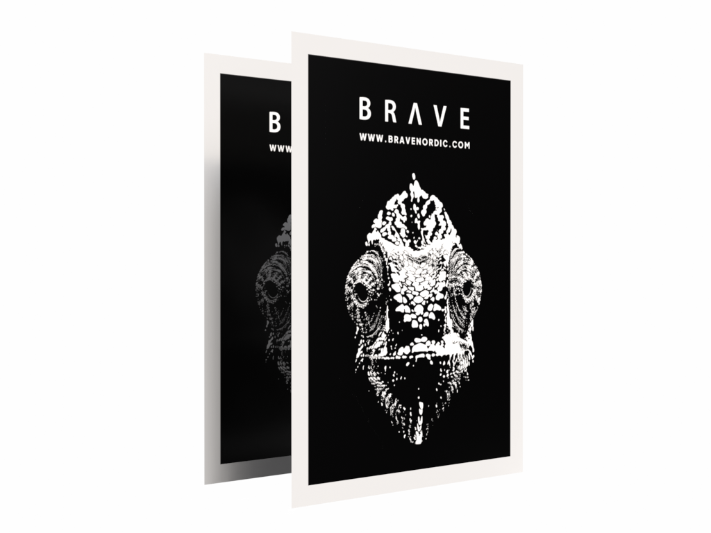 2 st. posters till gatupratare - 70 x 100 cm