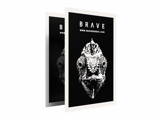 2 st. posters till gatupratare - 70 x 100 cm