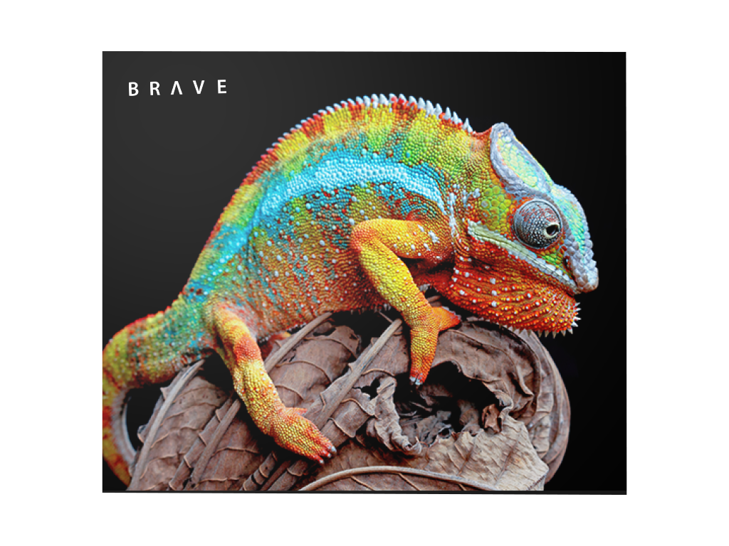 Classic Frame 295 x 250 cm inkl. Standard Case XL med toppskiva